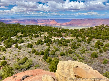 Dexterdexter sex actress img