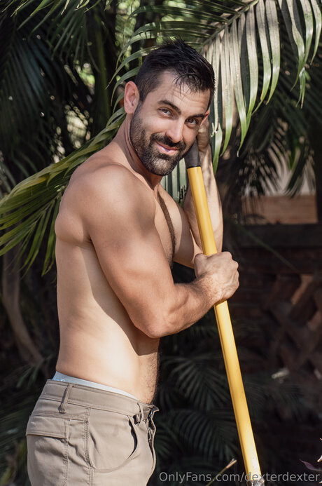 Dexterdexter star art photo