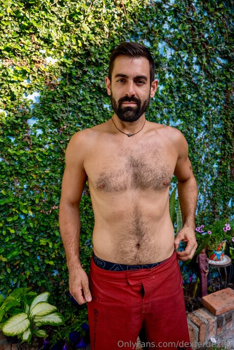 Dexterdexter star art gallery