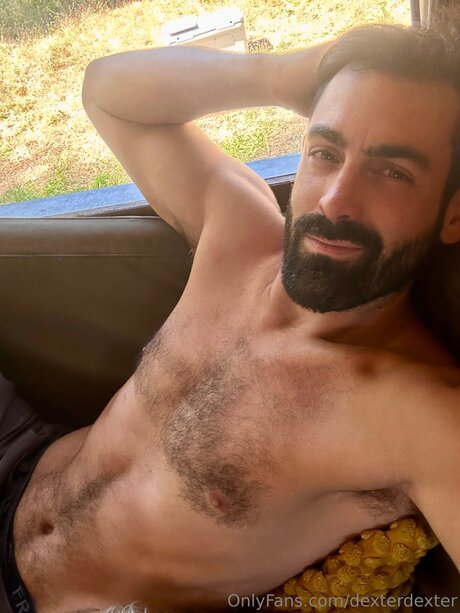 Dexterdexter porn actress img