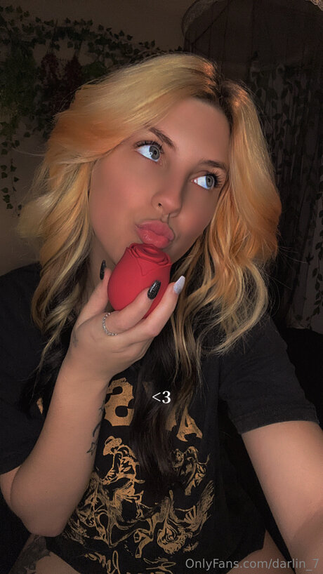 Darlin 7 star top gallery