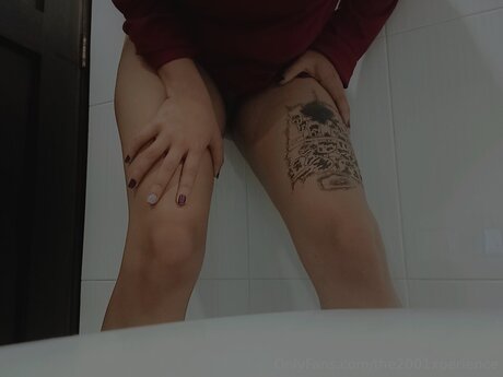 The2001xperience adult actress photo