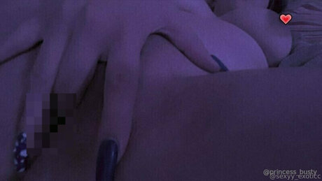 Museum Of Pleasure star nice archive