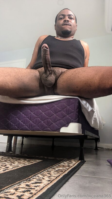 Joceana365 erotic star archive