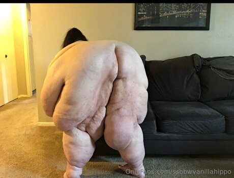 Ssbbwvanillahippo xxx model photos