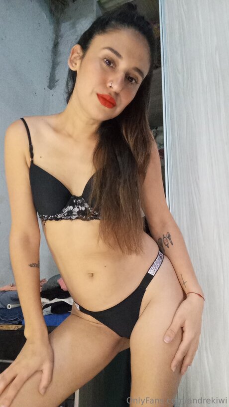 Andrekiwi star top pic