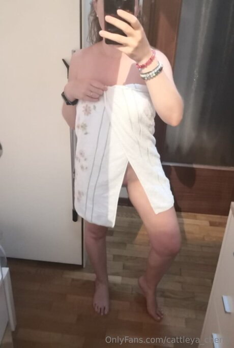 Cattleya Cherry star free pics