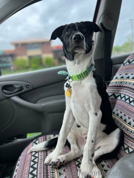 Sluttyshy hot star image