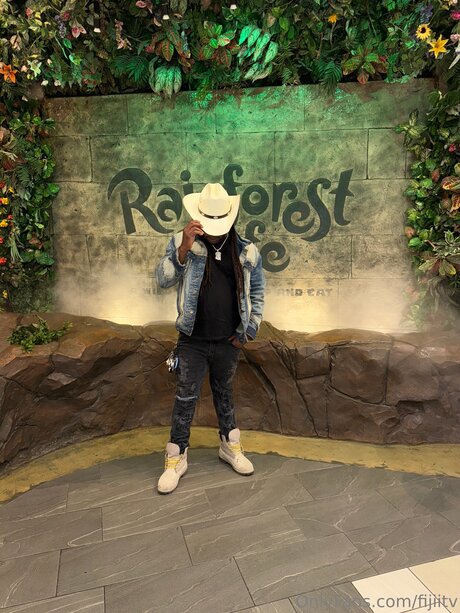 Fijiitv star art photos