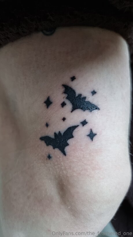 The Feathered One art star pics