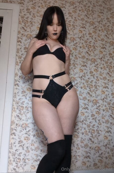 Laristochat nice star gallery