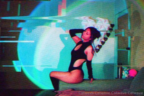 Catwave hot star photo