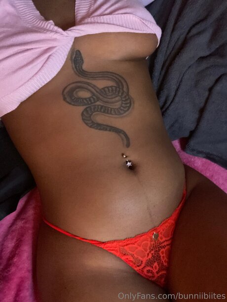 Bunniibiites high quality pornstar image