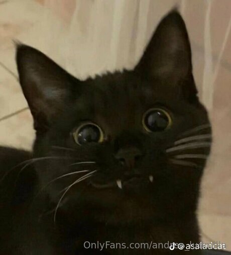 Andrea Ludmilla top pornstar photos