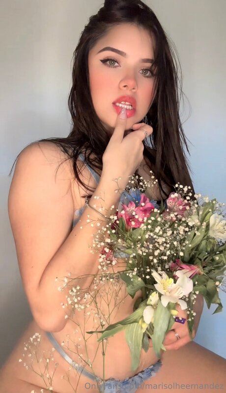 Marisolheernandez erotic model img