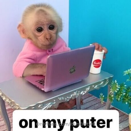 Itsm3wtw0 star sex img