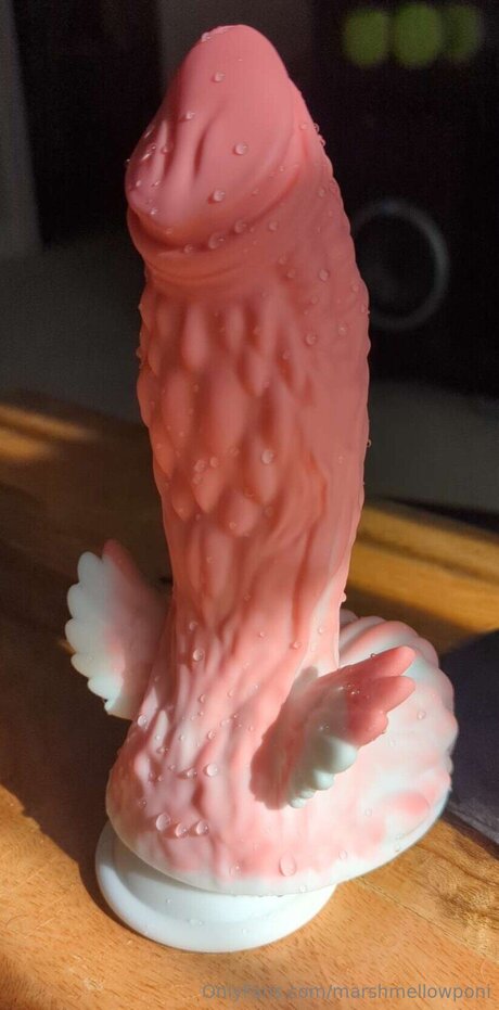 Marshmellowponi porn star photo