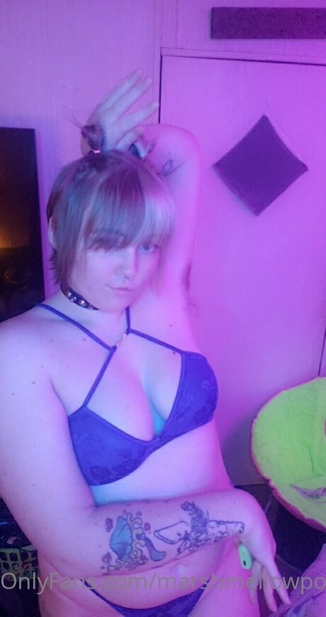 Marshmellowponi star best img