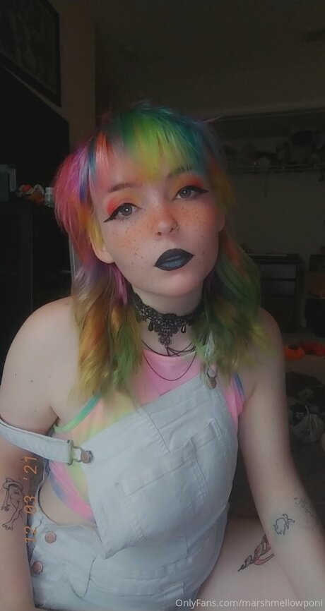 Marshmellowponi perfect star archive