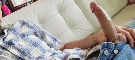 James Scheffer erotic actress image