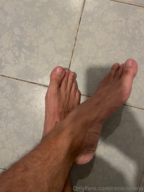 Cesarnorena star xxx photo