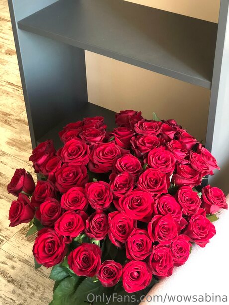 Wowsabina perfect model archive