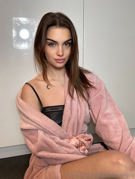 Noorventriglia art star galleries