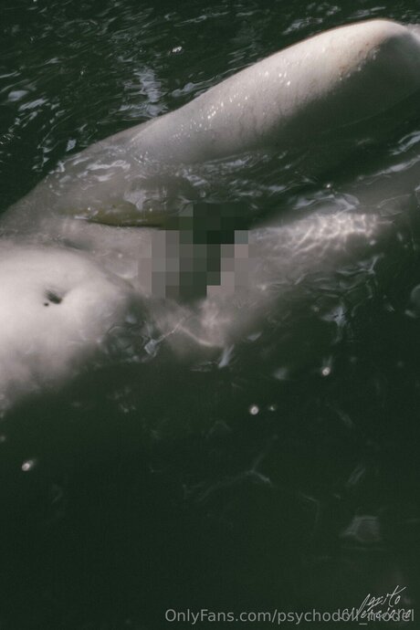 Psychodoll Model nudes model image