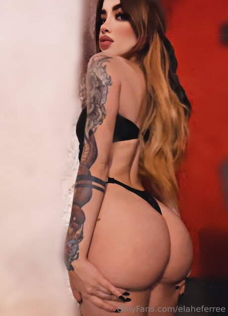 Elaheferree art pornstar pic