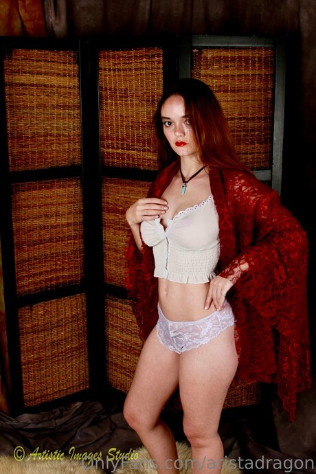 Aristadragon model gallery