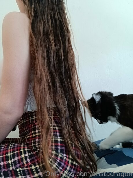 Aristadragon free star pic