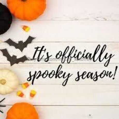 Mrs M Xoxofree pornstar pretty pic