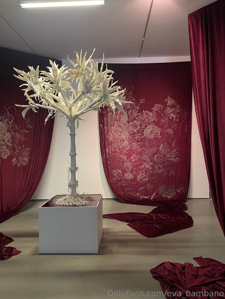 Eva Bambano star nude pics