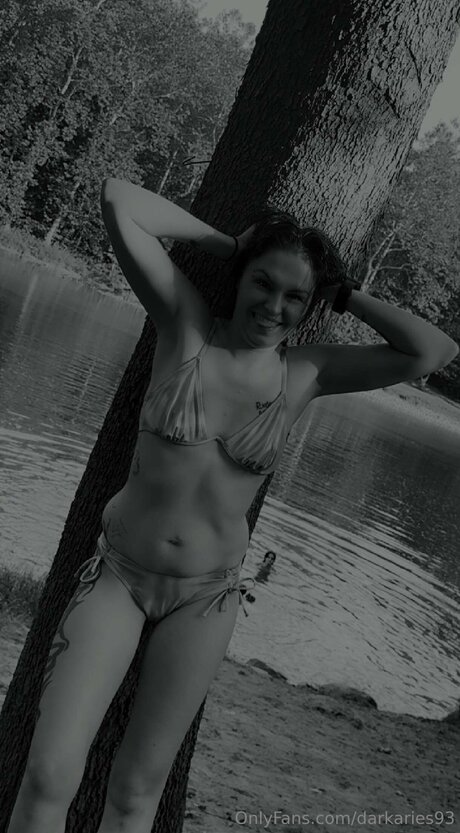 Darkaries93 perfect star archive