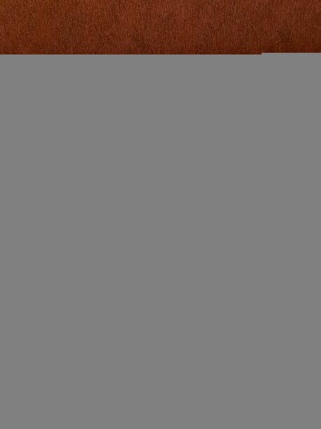 Dirny Kate pornographic star archive