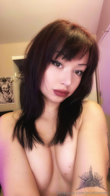 Picassonoel sex pornstar images