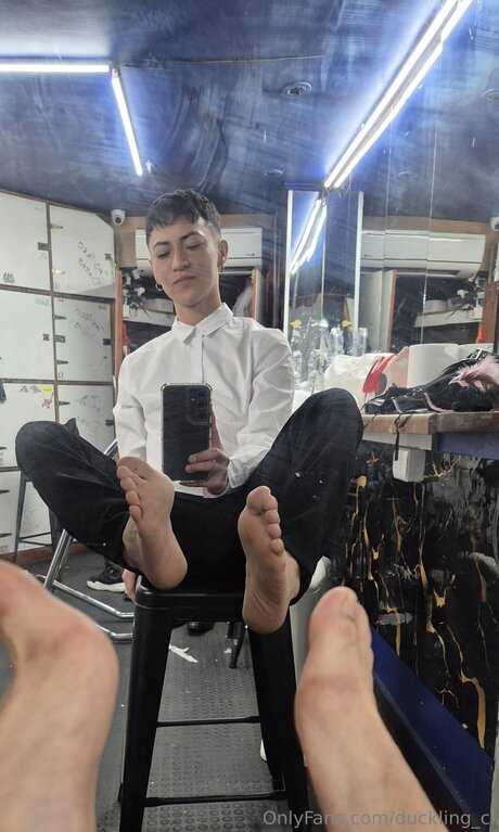 Duckling Cl model hd archive