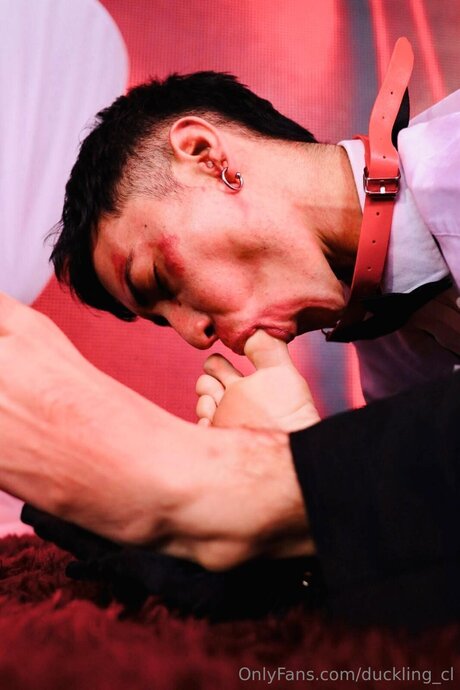 Duckling Cl xxx model image