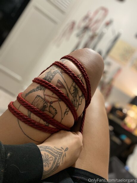 Taelorgang top pornstar pic