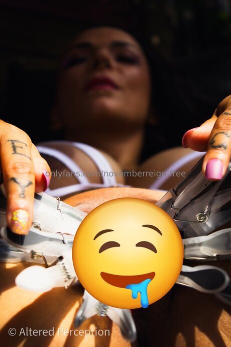 Novemberreign Free top star pic