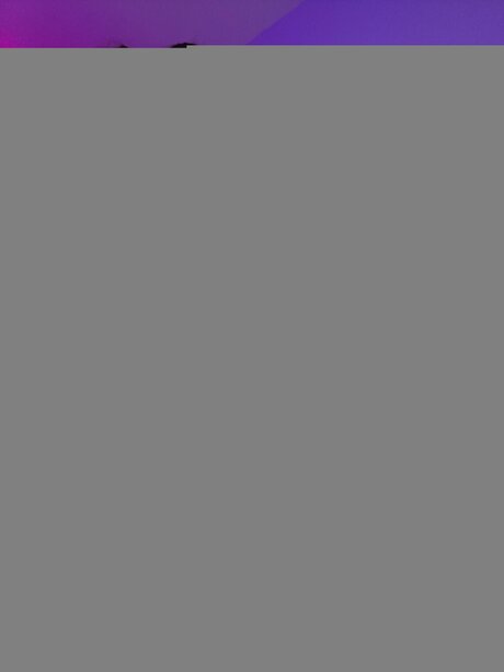 U246366830 erotic star gallery