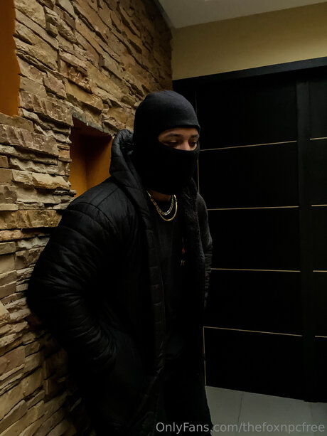 Thefoxnpcfree porn star archive