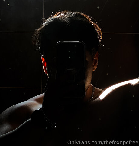 Thefoxnpcfree naked pornstar pics