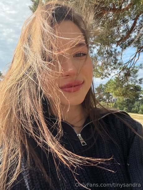 Tinysandra model images