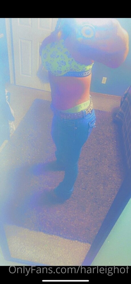 Harleighof model nice img