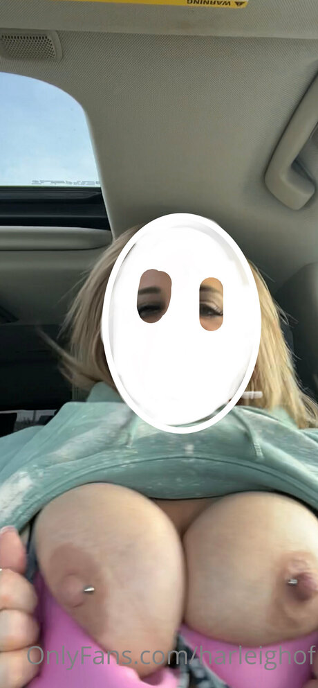 Harleighof star photos