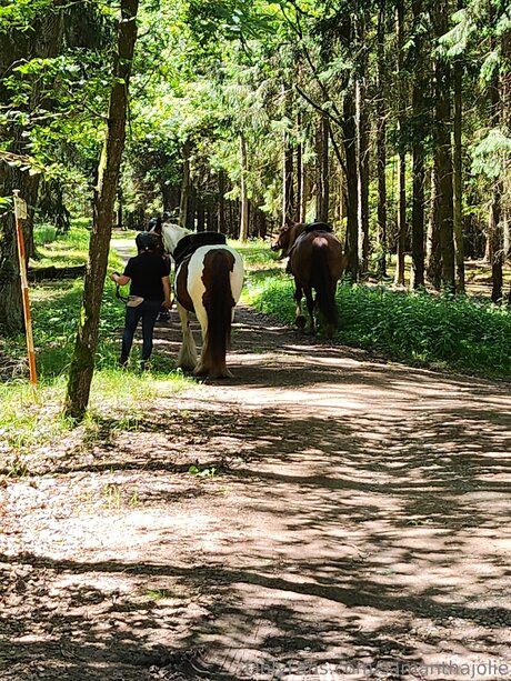 Samanthajolie perfect pornstar pics