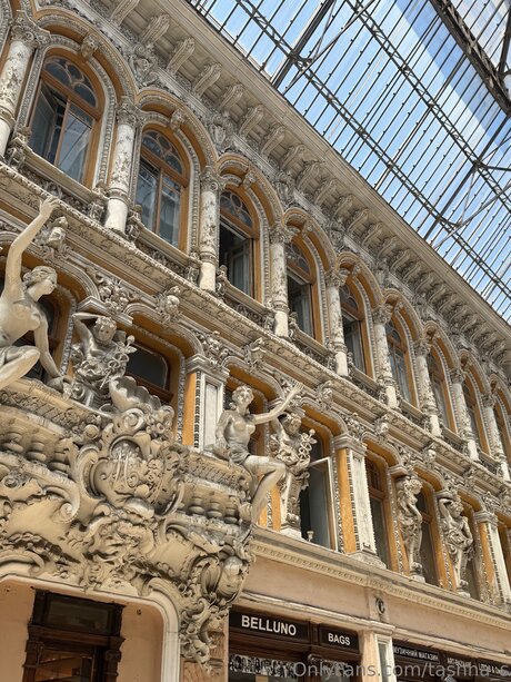 Tashha S star perfect pic