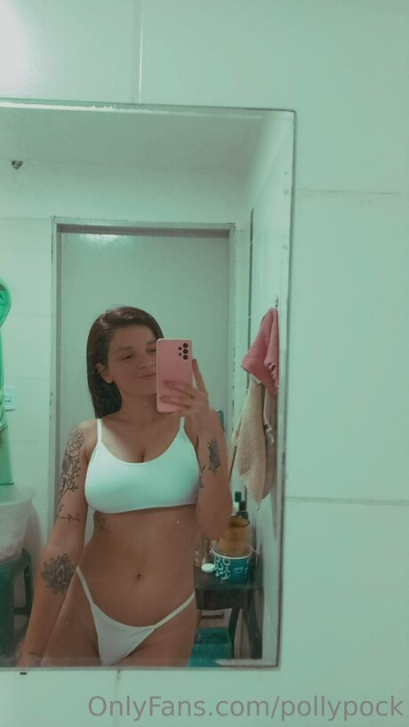 Pollypock model top image