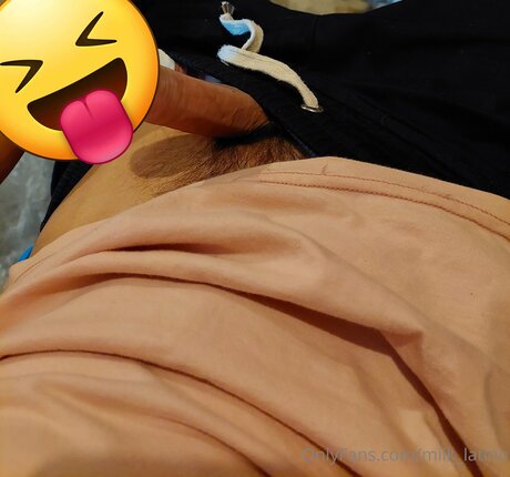 Milk Latino high quality model archive